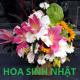 Hoa Sinh Nhật