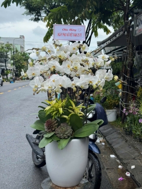 chau lan ho diep hanh phuc tron day